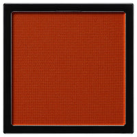 The Eyeshadow Matte in Dark Saffron 024M