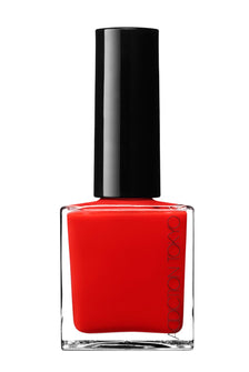 The Nail Polish +